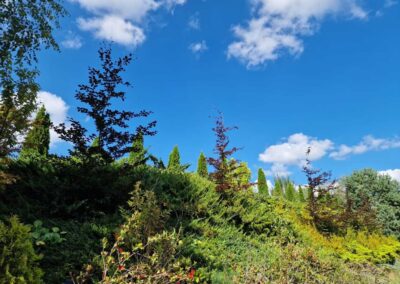 Pensjonat Zacisze - Na Zewnątrz - galeria 2024